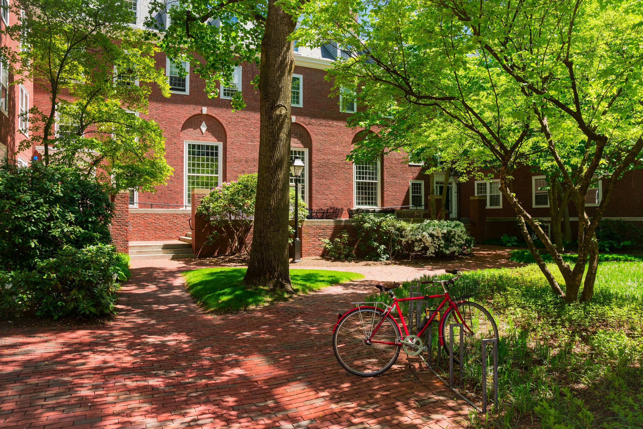 Red brick college dormitory with a bicycle and trees.
