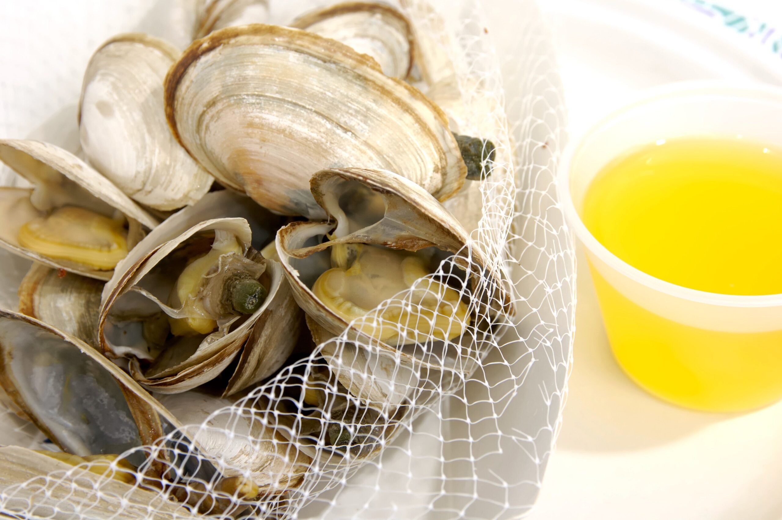 Steamers