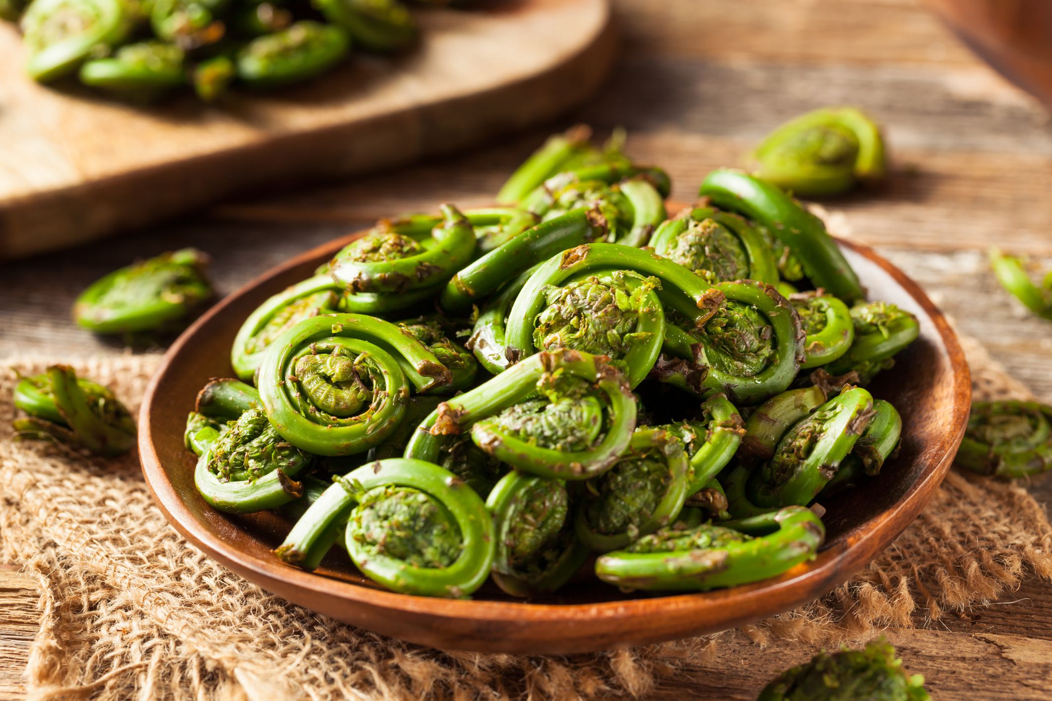 Raw Organic Green Fiddlehead Ferns Ready for Cooking
