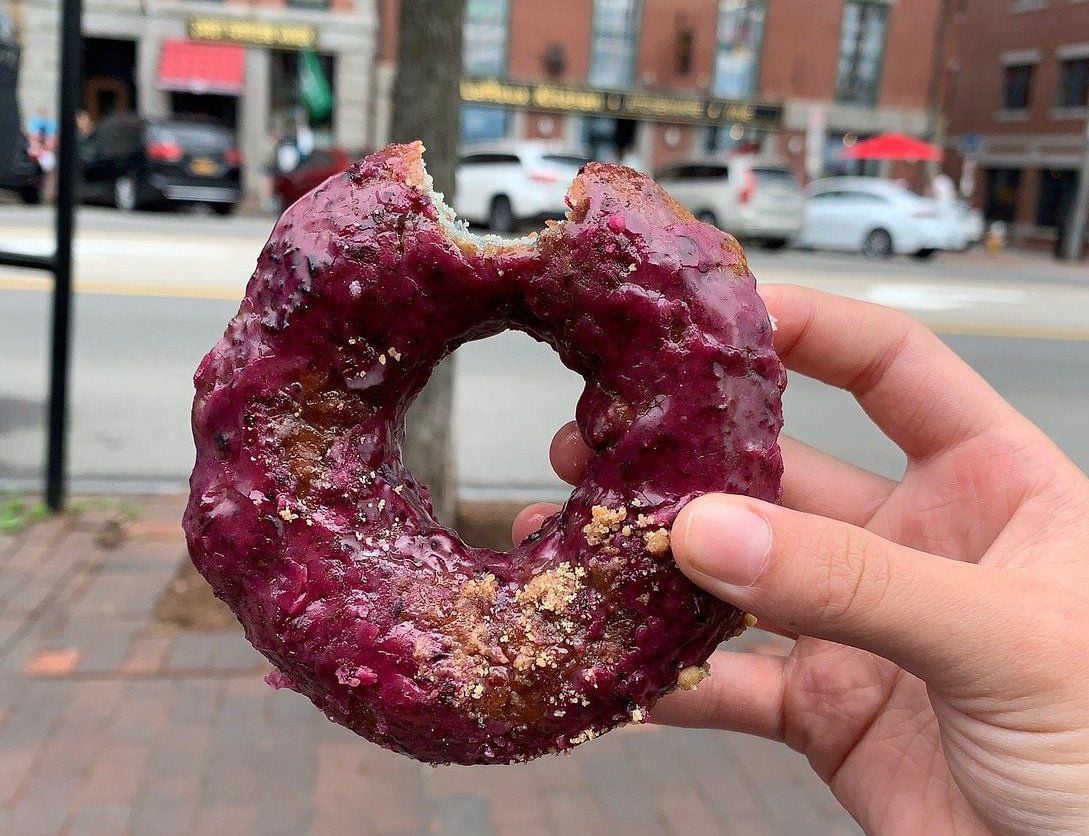 Holy Donut Maine Blueberry Donut