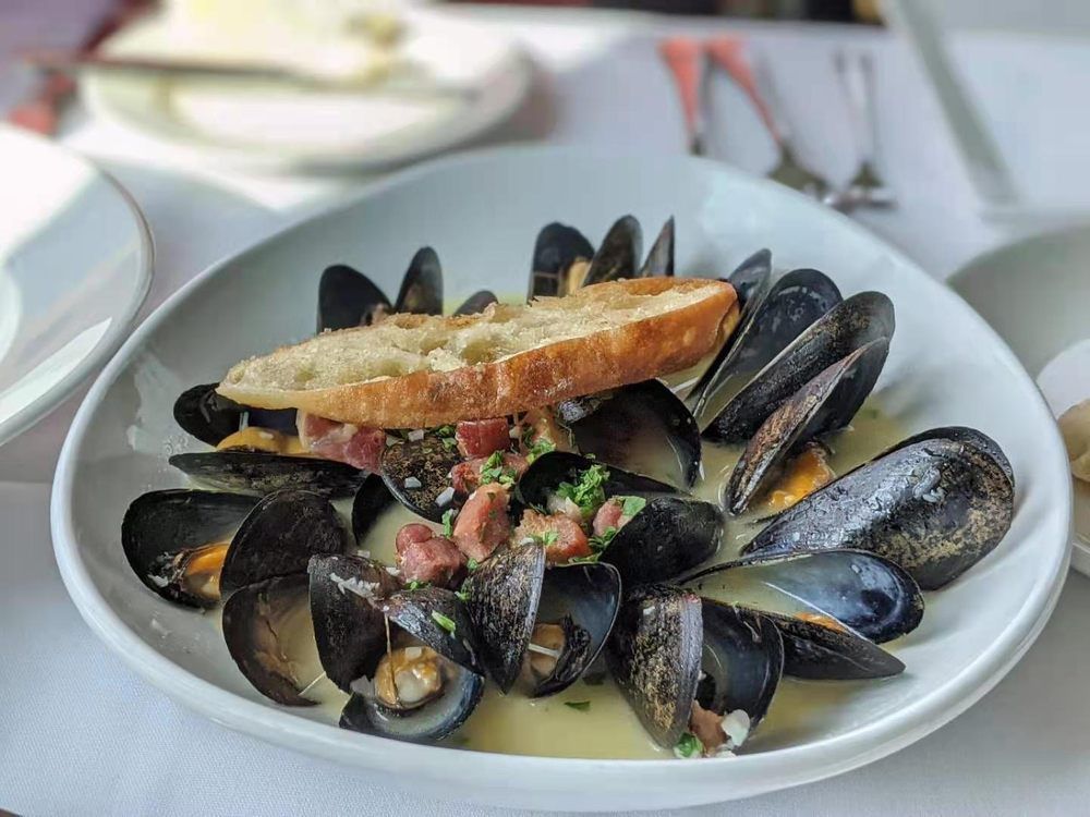 Mussels from Pier W in Lakewood Ohio