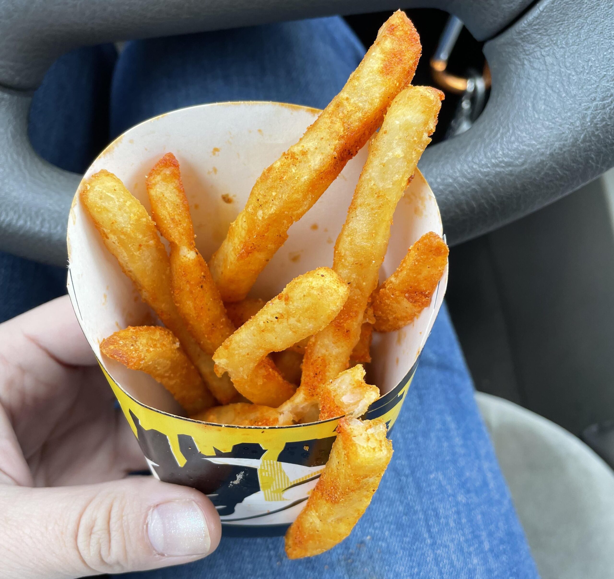 Taco Bell Nacho Fries