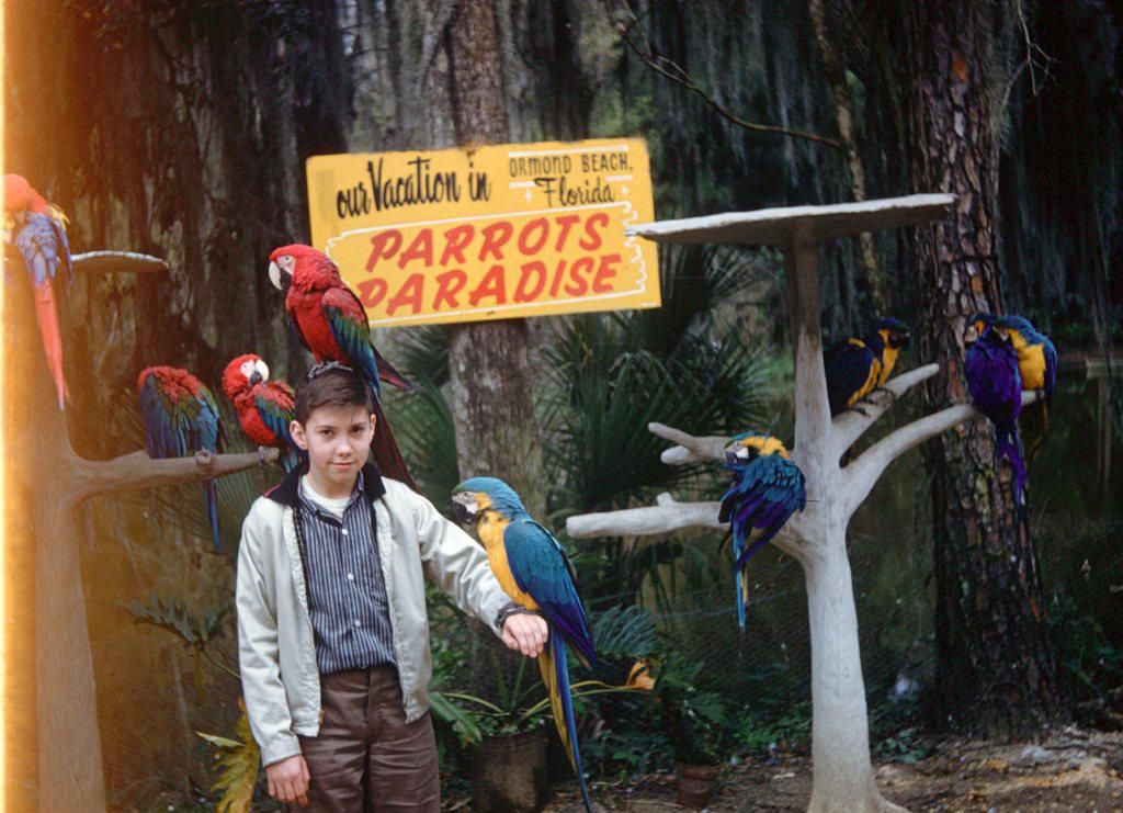 My dad in the 50s on vacation.
