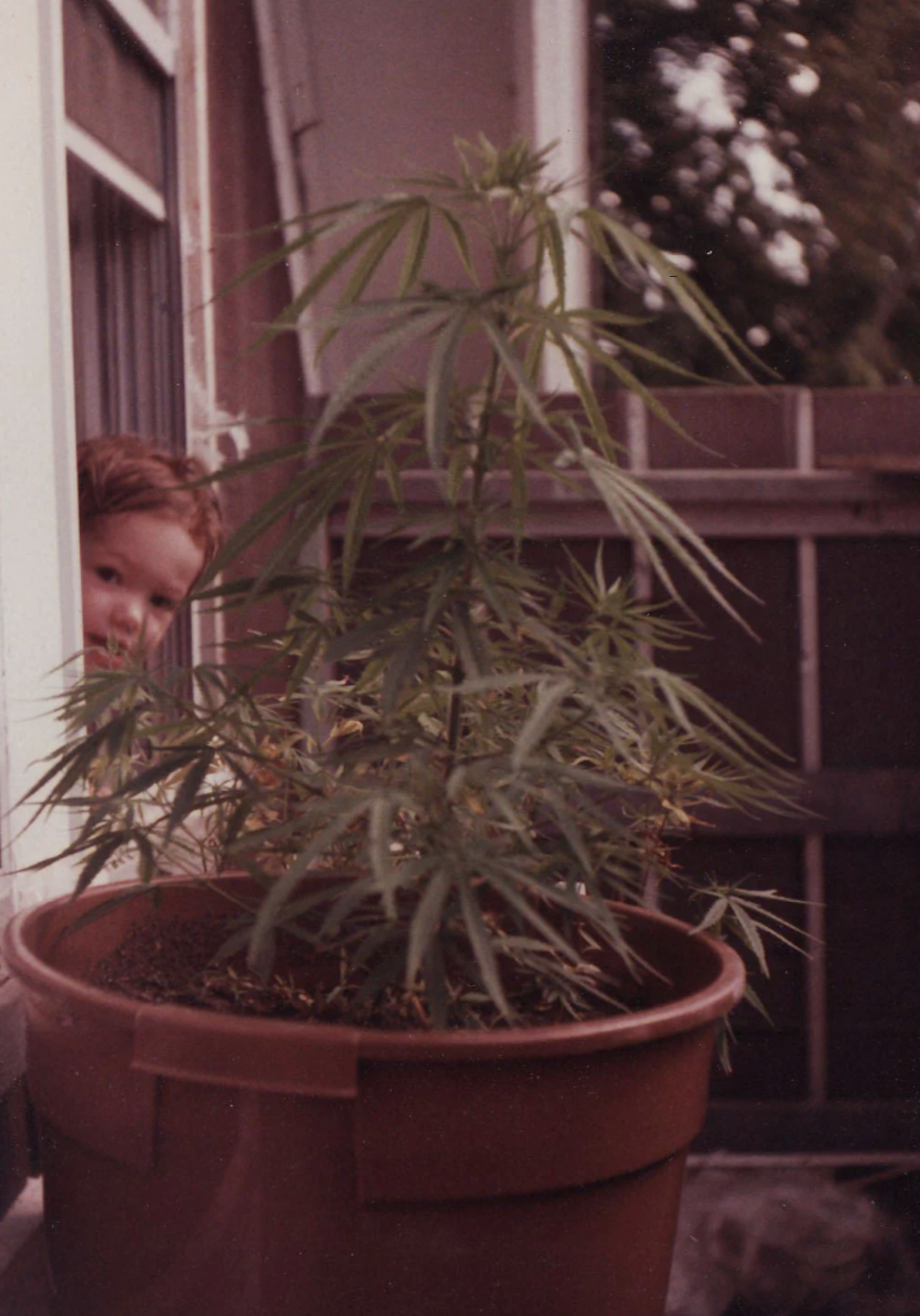 70s Child and Cannabis Plant