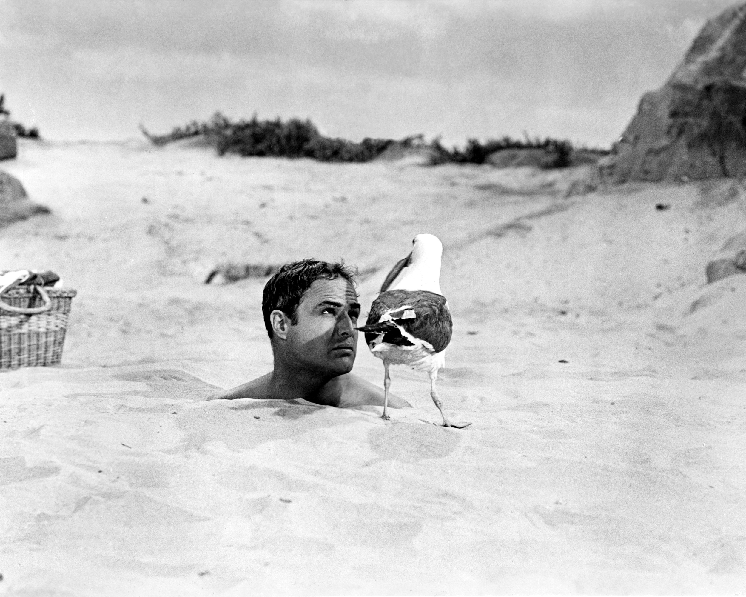 Actor Marlon Brando in a scene from the movie Bedtime Story