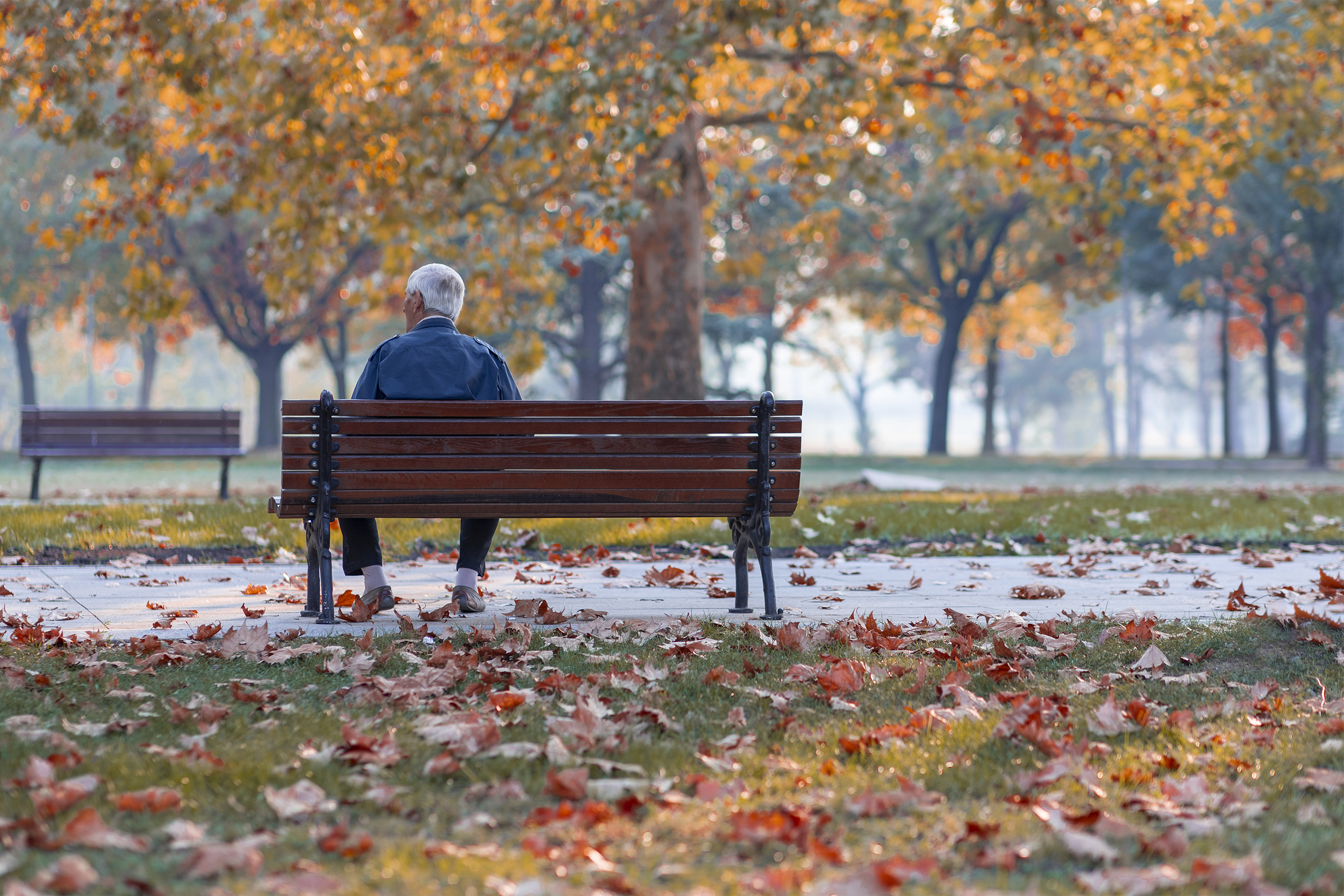 senior man sitting alone on bench