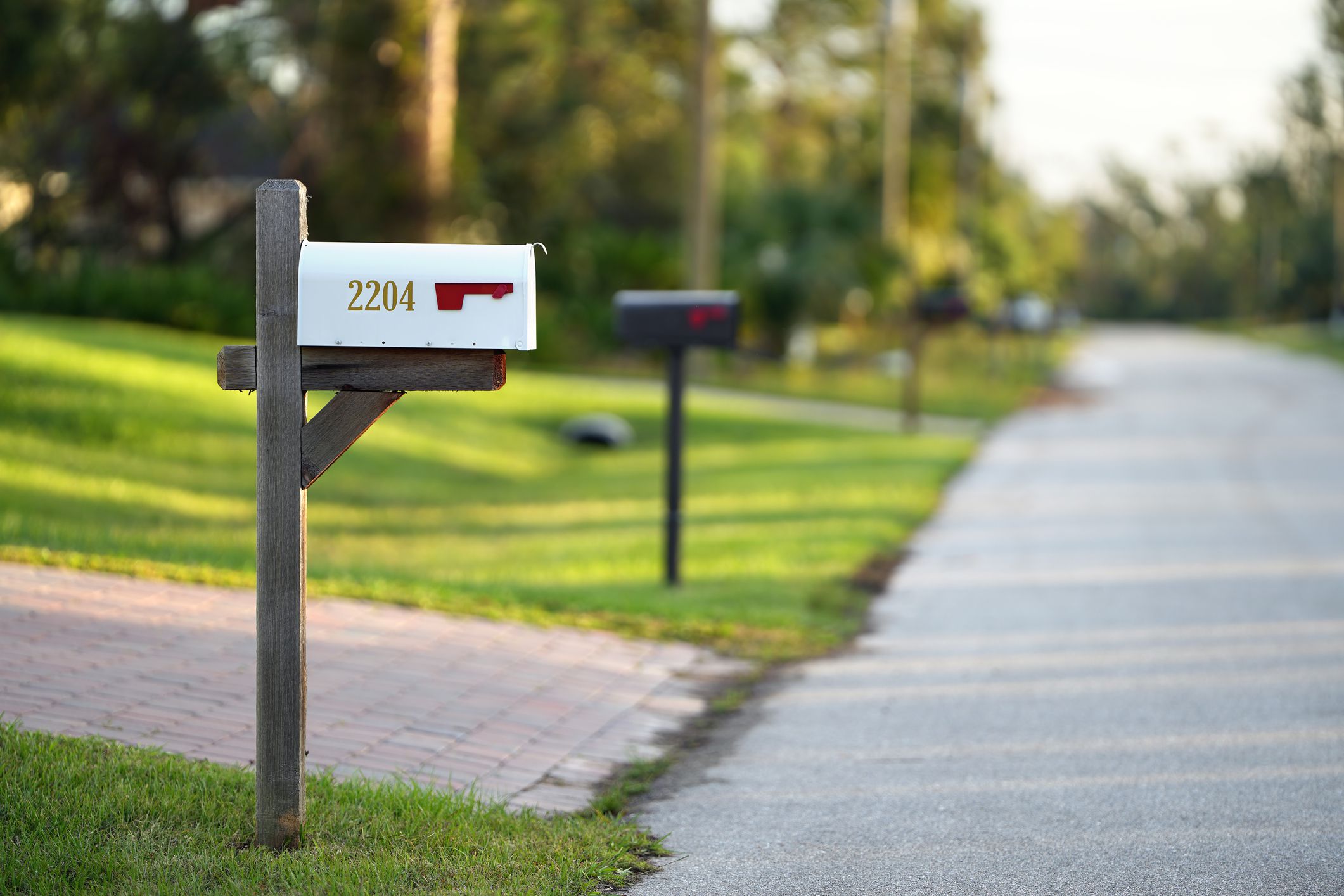 American mailbox at Florida home front yard on suburban street side.