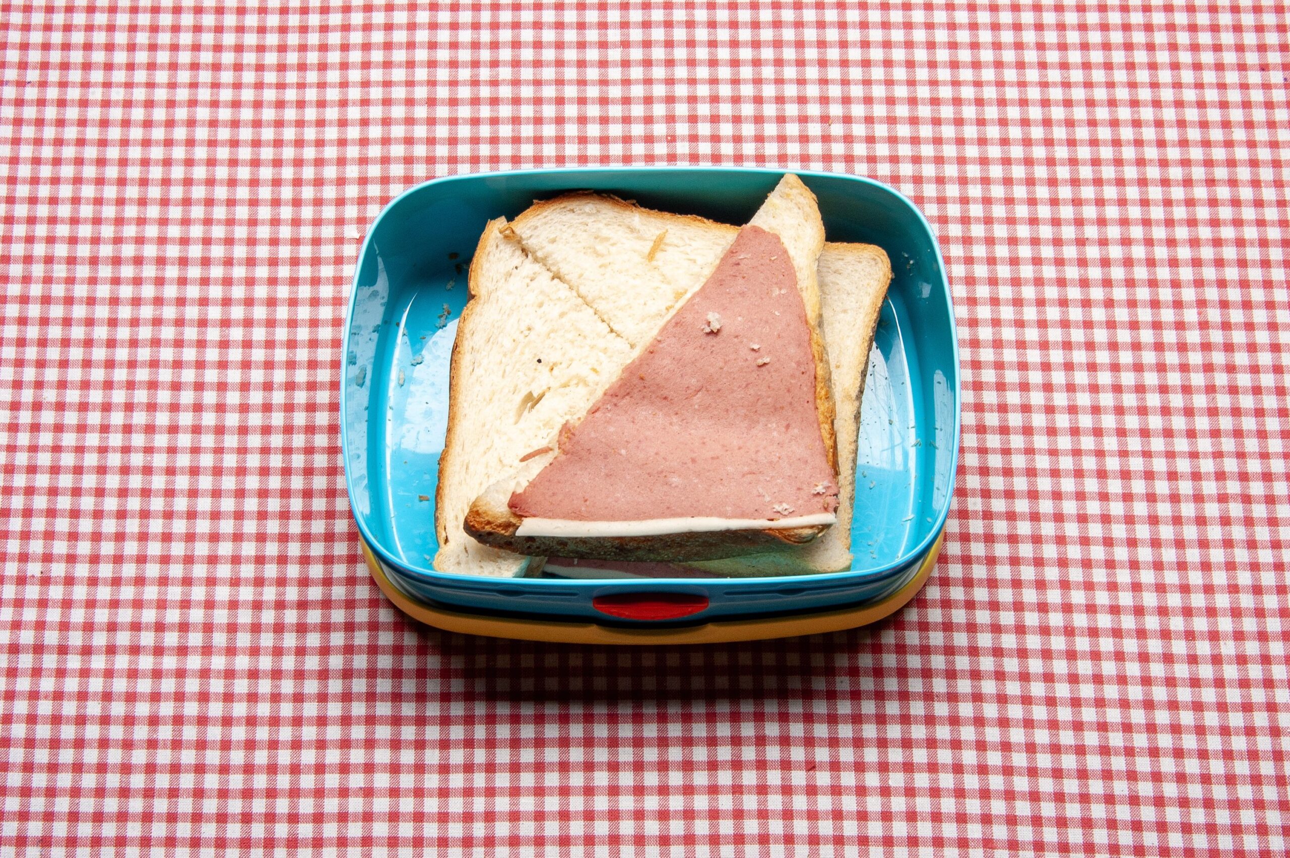 A child’s school lunch box on a checkered red white tablecloth.With white bread and meat as bread topping . High angle view studio shot.