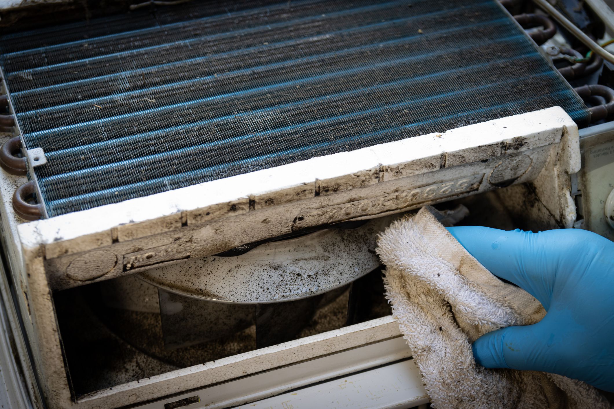 Latex gloved hand wipes black mold and residue from interior of window air conditioning unit.