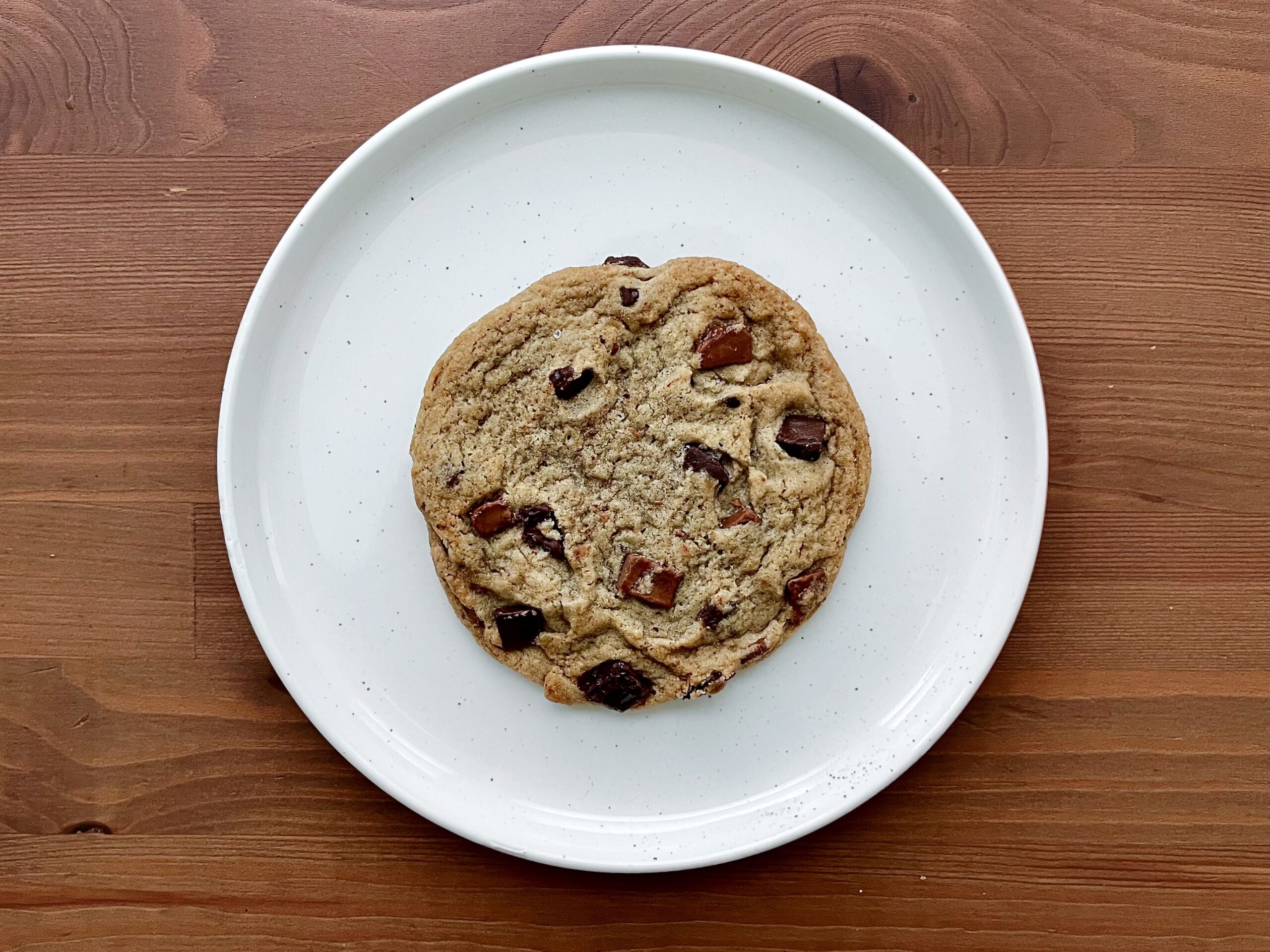 Panera chocolate chipper cookie