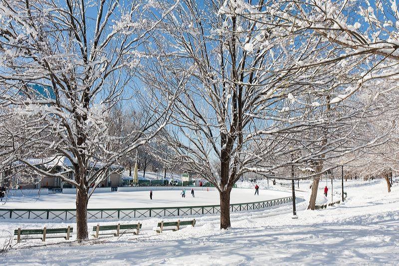 The Boston Common Frog Pond in Boston, Massachusetts