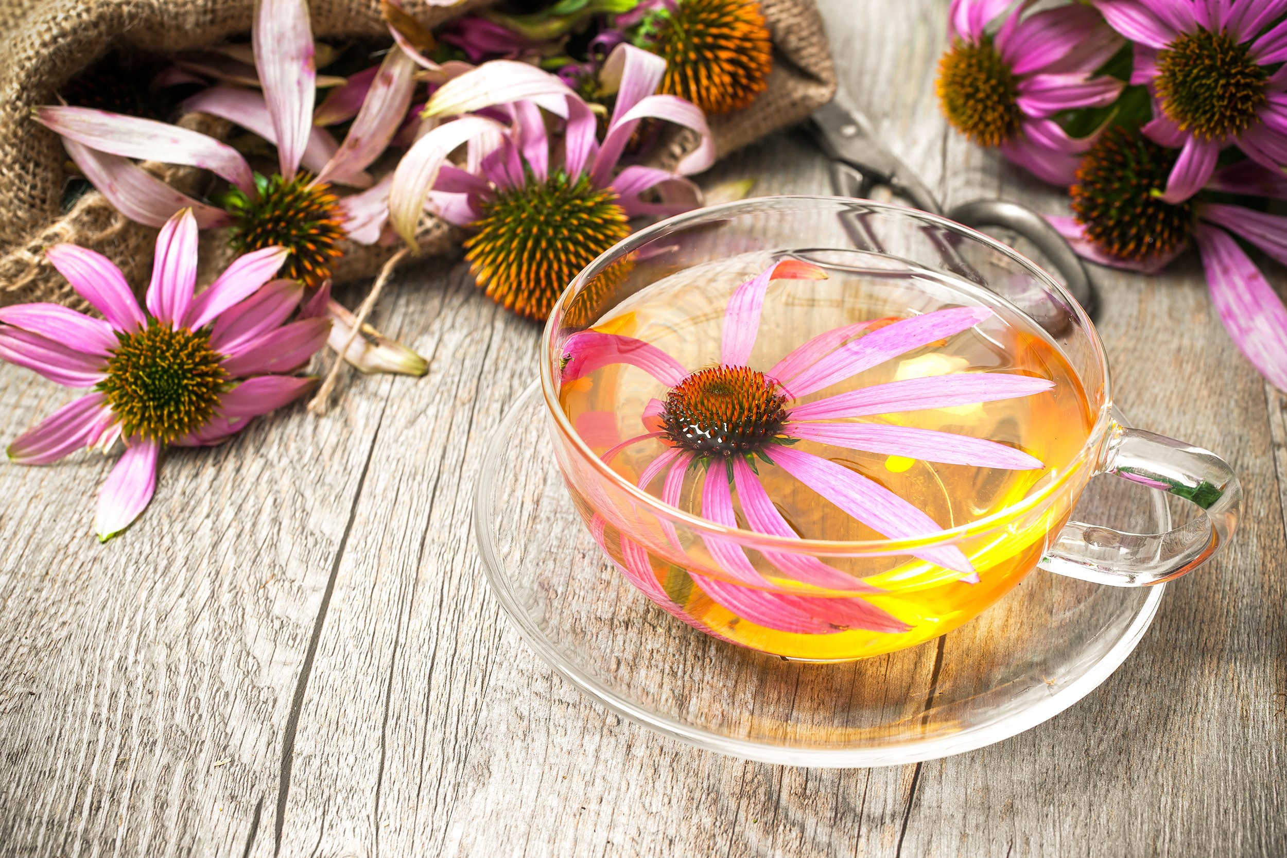 cup of echinacea tea on wooden table