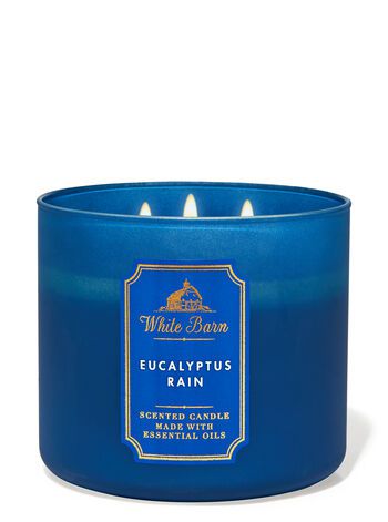 Eucalyptus Rain 3-Wick Candle