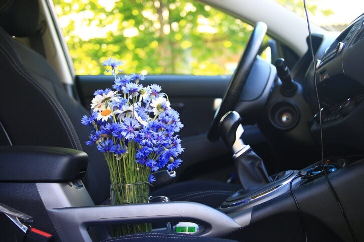summer flowers in the car