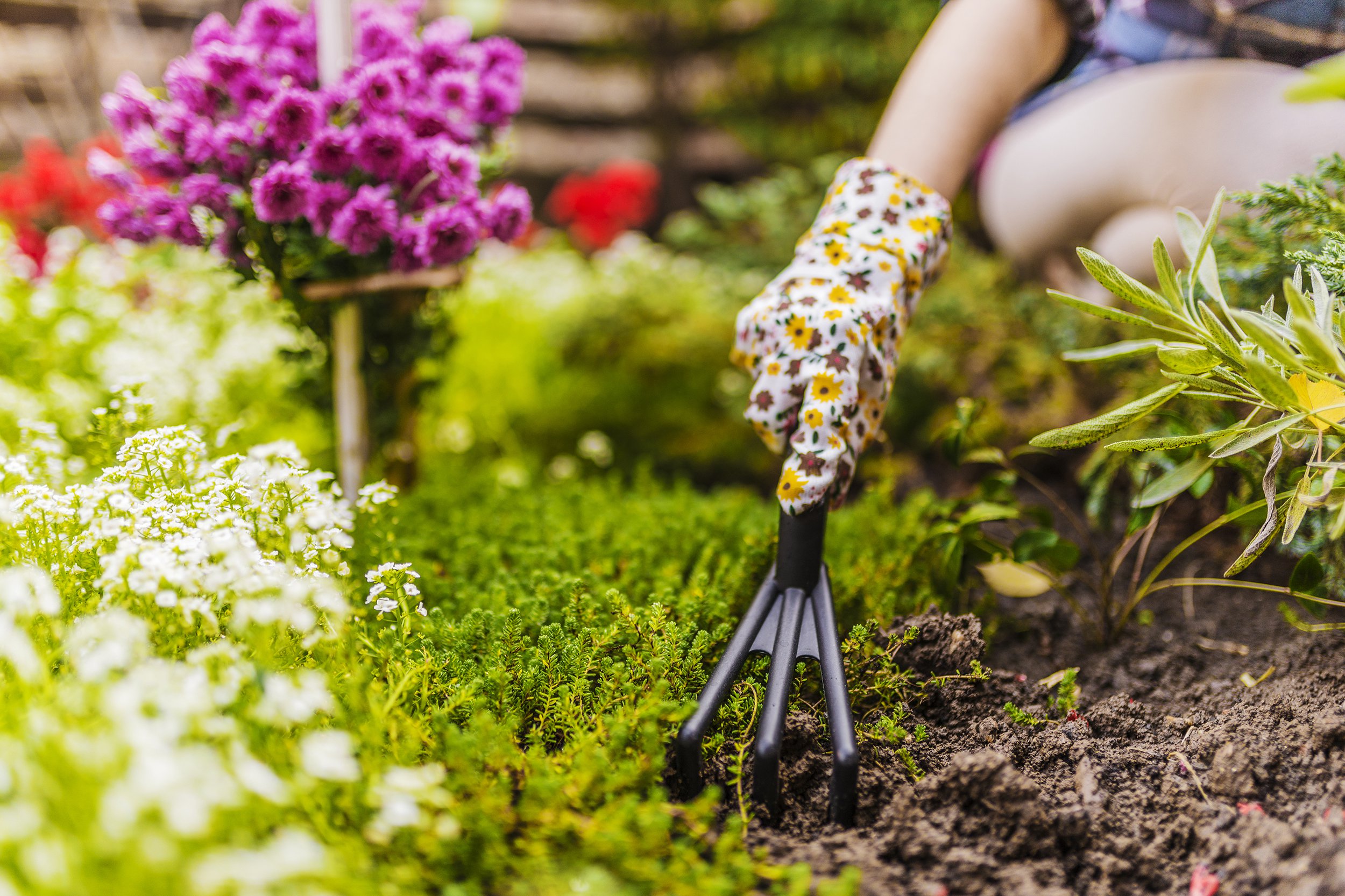 planting flowers in a garden