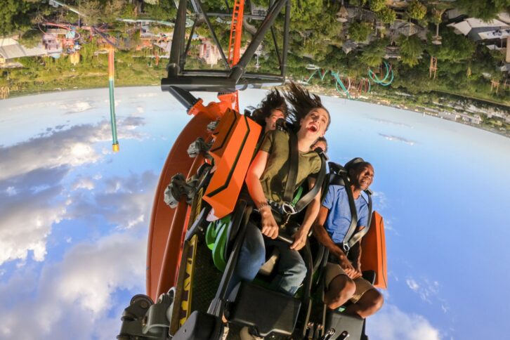 Tigris, Busch Gardens, Tampa, Florida