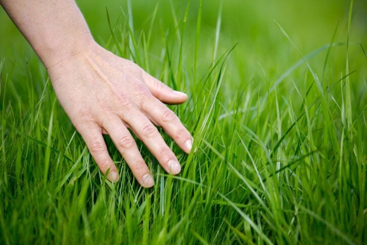 hand touching grass