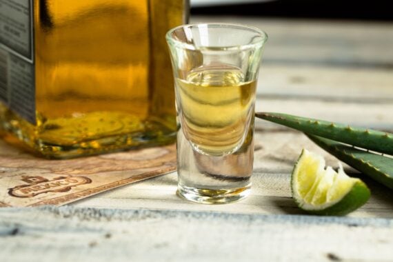 close-up of tequila shot by lime and aloe vera on table