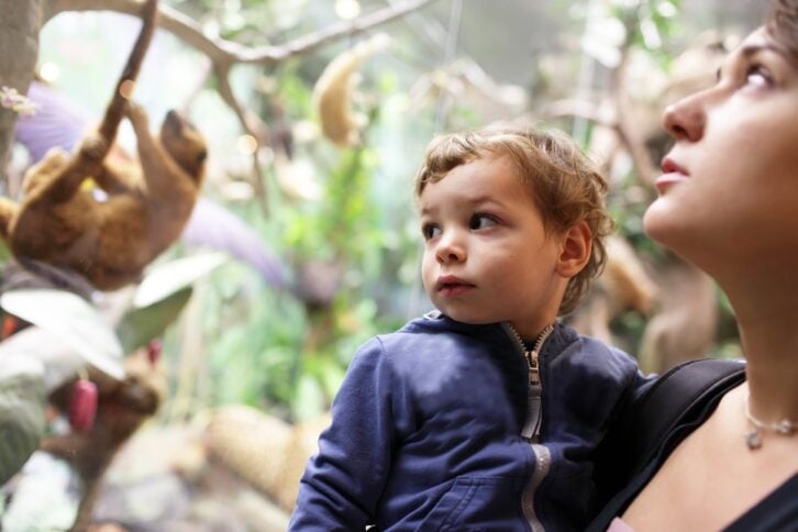 family at a museum