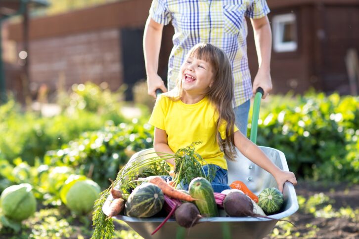 little kid girl inside wheelbarrow with vegetables in the garden