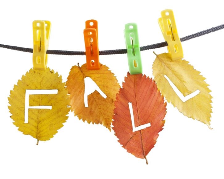 red yellow fall leaves hanged on clothesline with clips carved with a knife letters