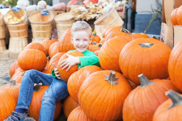 little excited kid enjoying time at pumpkin patch sitting in the huge pile of pumpkins