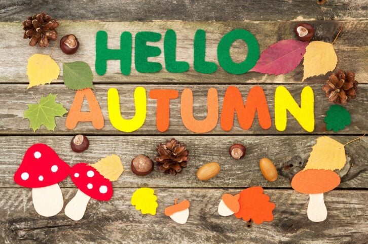 'Hello Autumn' craft sign on wood