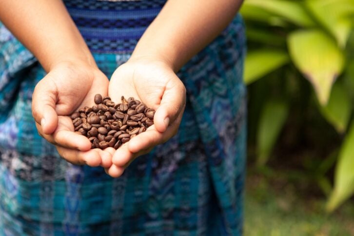 Handful of fresh coffee beans