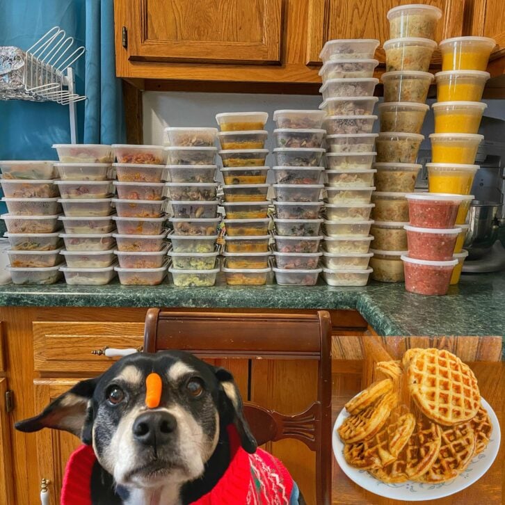 Containers with meal prep meals, a dog with a carrot on its nose and an image of waffles.