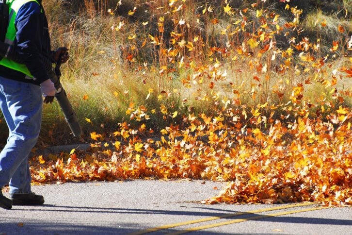 man cleaning the fallen leaves on the road by blower