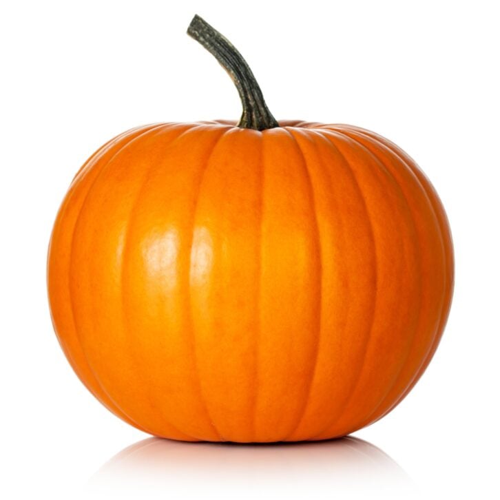 pumpkin