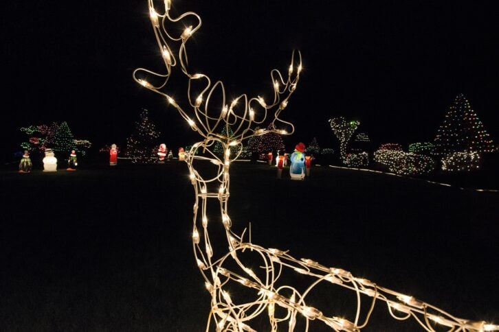 Christmas lights outside