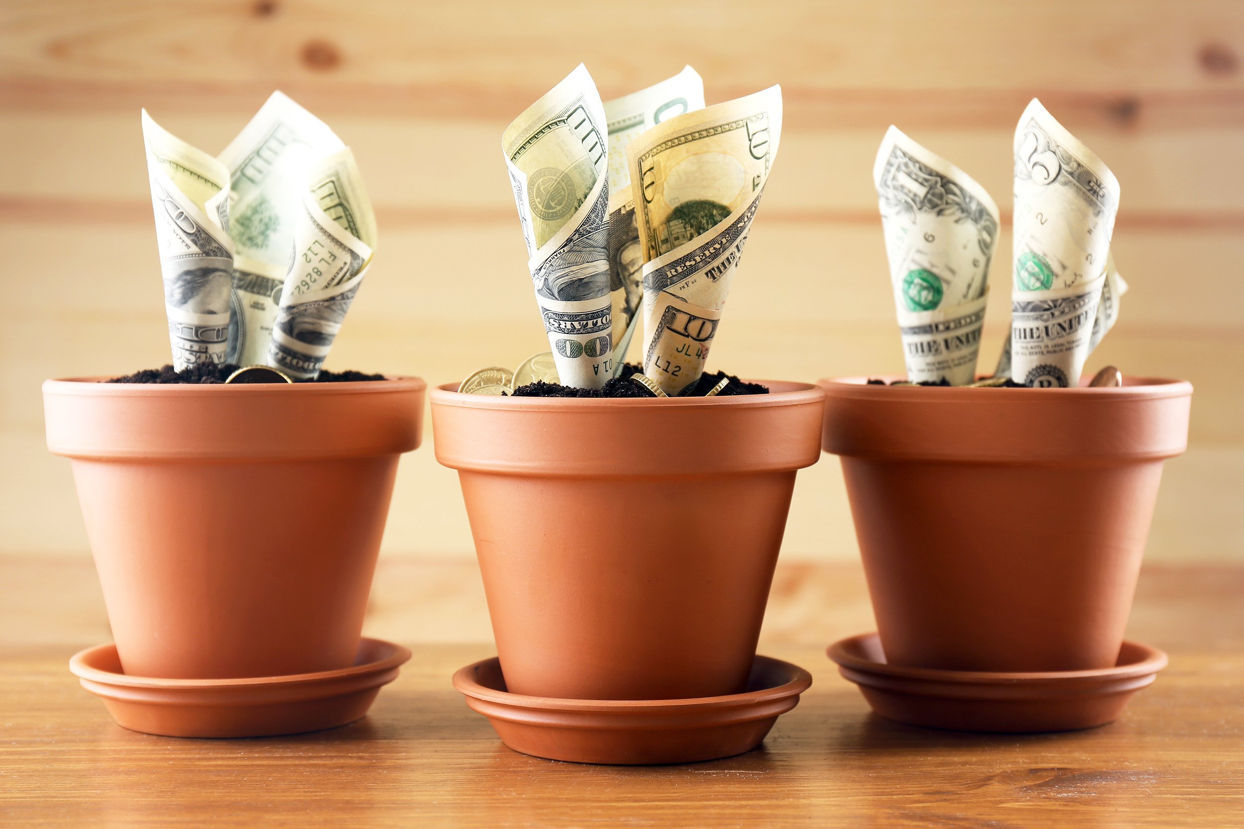 growing money in flowerpots on wooden background