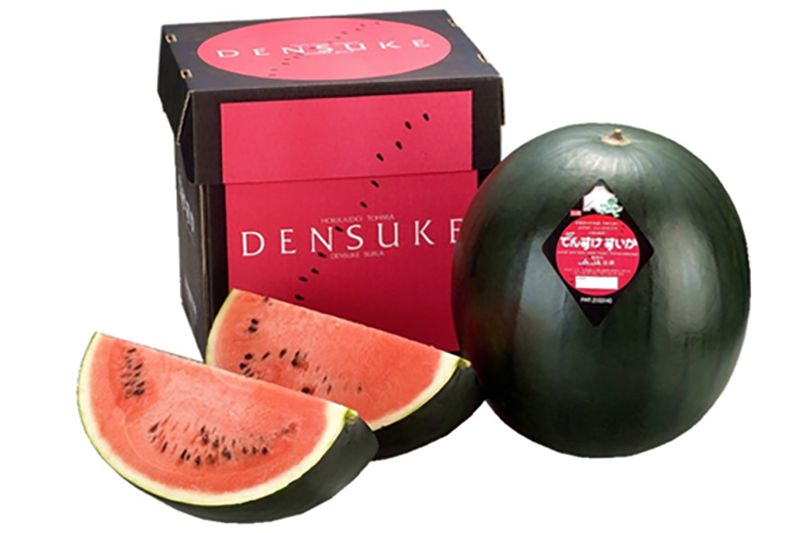 Densuke Black Watermelon