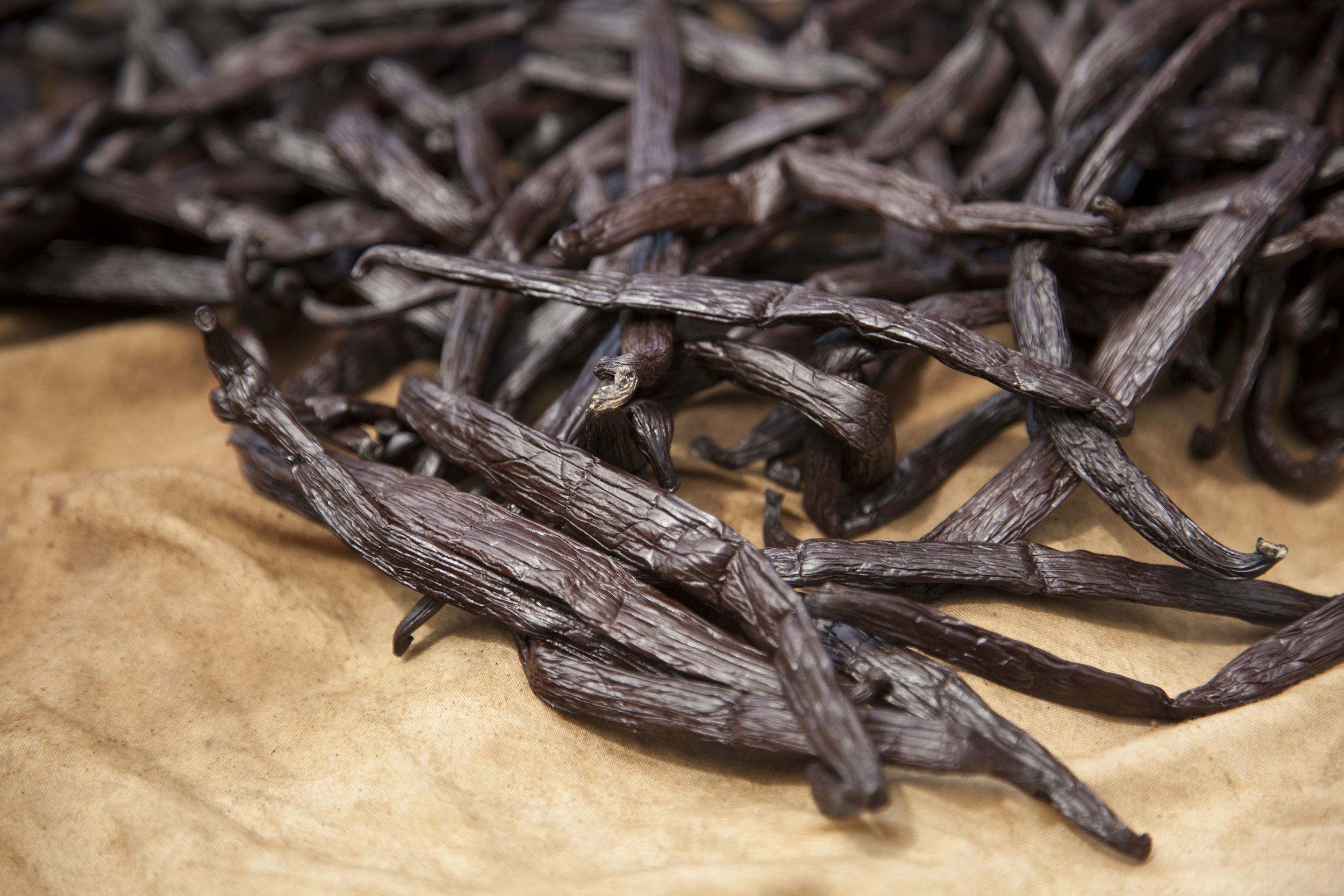 Tahitian Vanilla