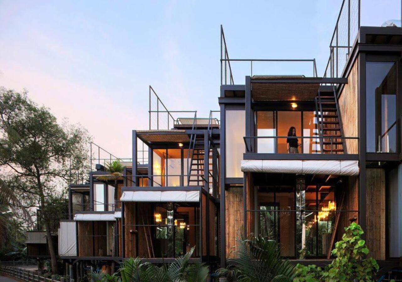 Tree Top Nest
