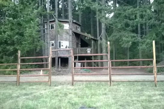 Tranquil-A-Tree Treehouse