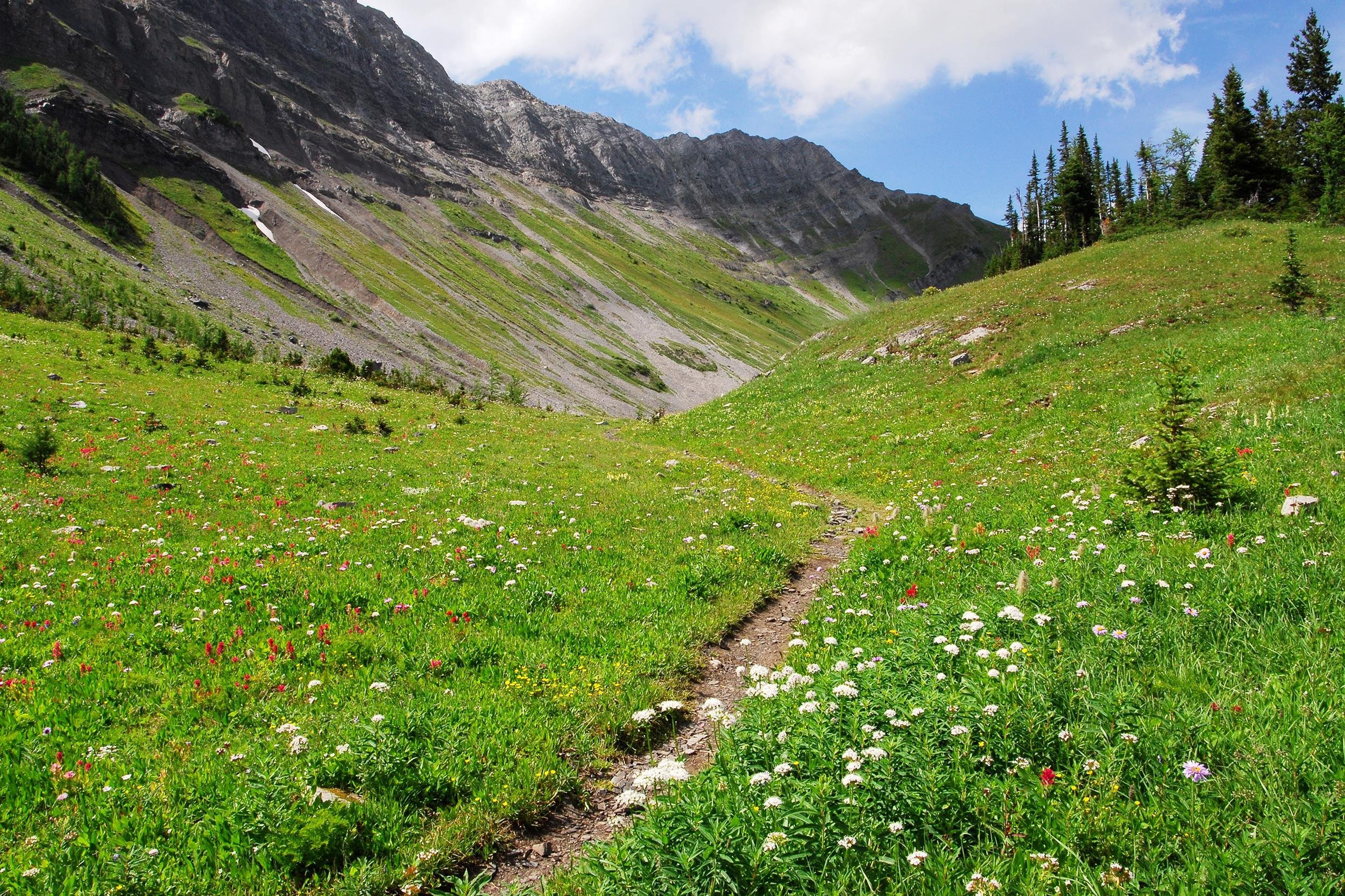 980 20160429 044156 4018 121815 Heavenly Hikes