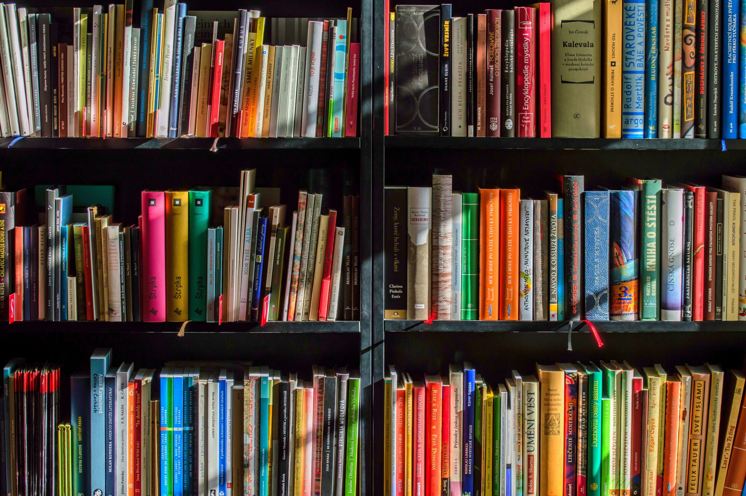 Three long shelves lined with books with sun shining on them