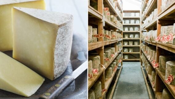 Cheddar Stolen By Imposters in Massive Heist