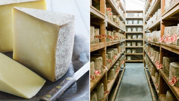 Cheddar Stolen By Imposters in Massive Heist