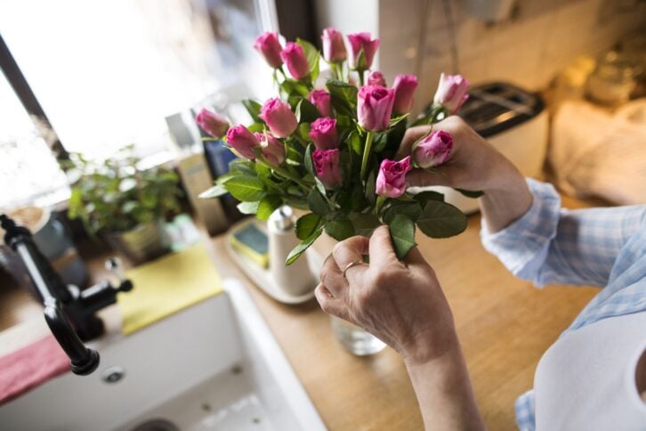 Closeup of senior woman's hands arranging magenta roses in a vase on her kitchen counter with blurred background of sink and items on kitchen counter