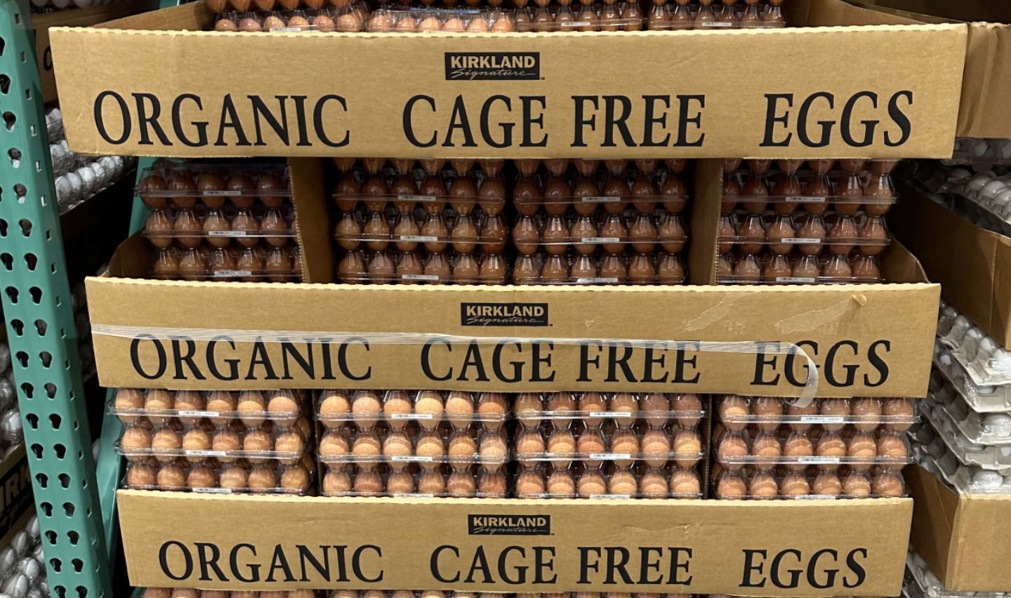 Costco Kirkland Eggs