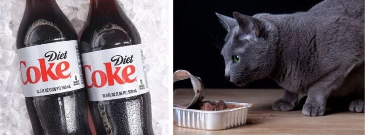 two bottles of Diey Coke, a cat eating food out of a container