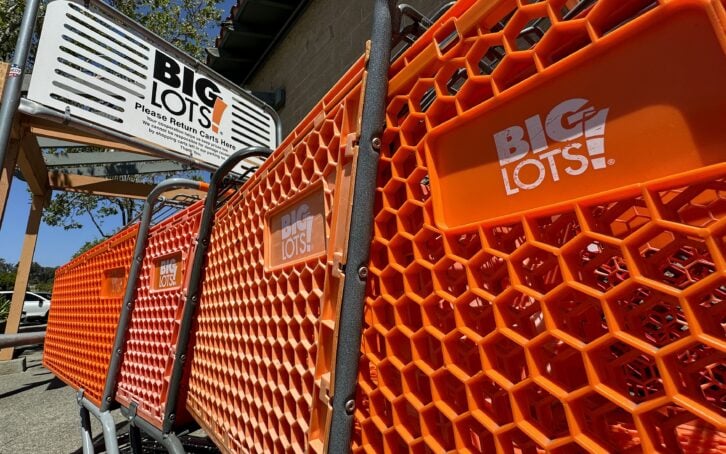 Big Lots Shopping Carts