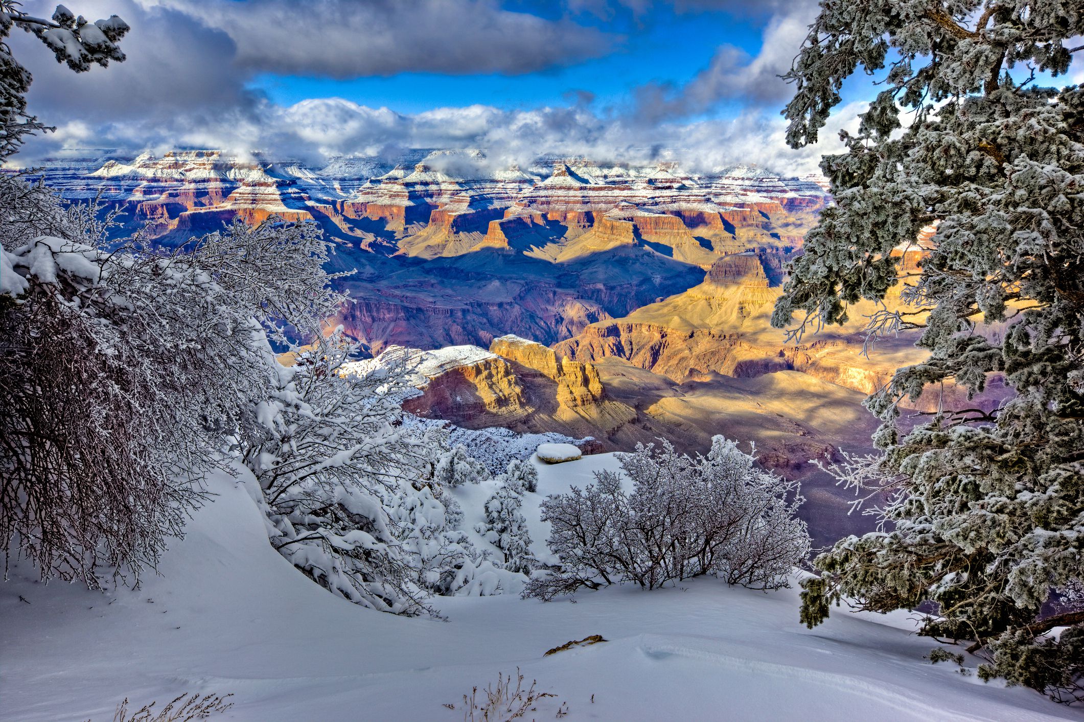 View of North Rim from Yaki Point, Grand Canyon, Arizona