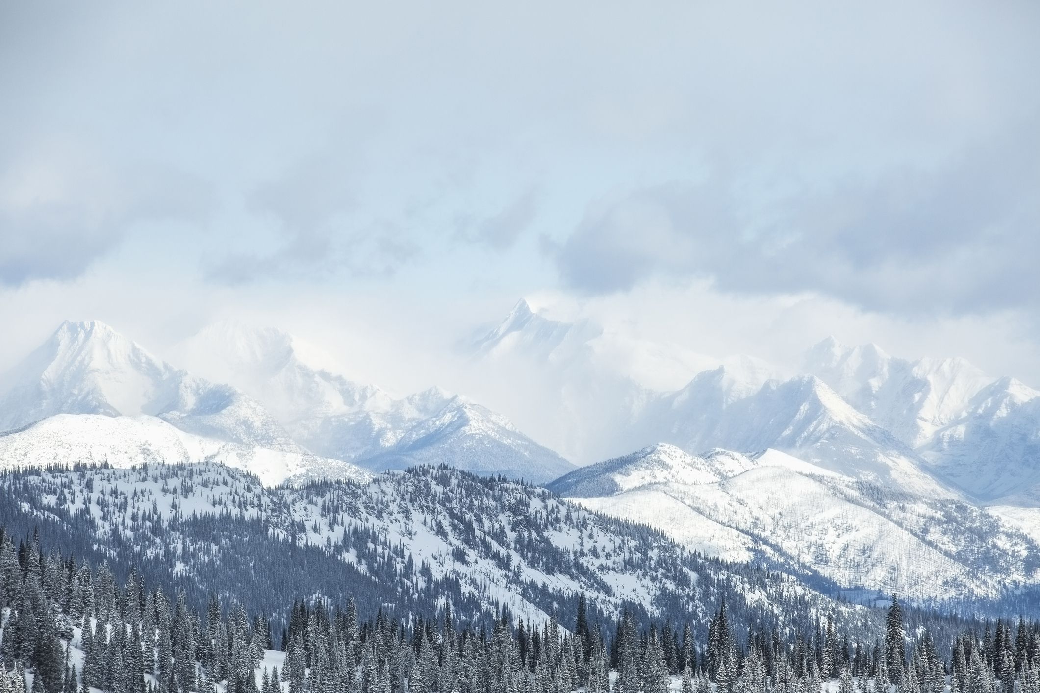 Montana, Glacier National Park, Landscape with mountains and forest in winter
