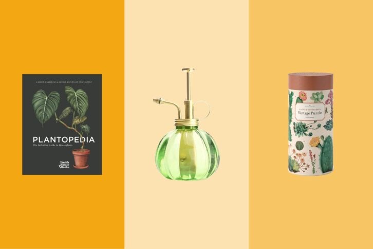 Gifts for Plant Lovers_hero