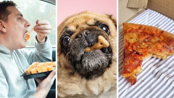 Three images: Guy eating sushi in car, dog with a treat, slice of pizza with a bite taken out