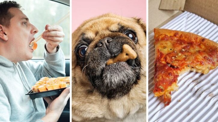 Three images: Guy eating sushi in car, dog with a treat, slice of pizza with a bite taken out